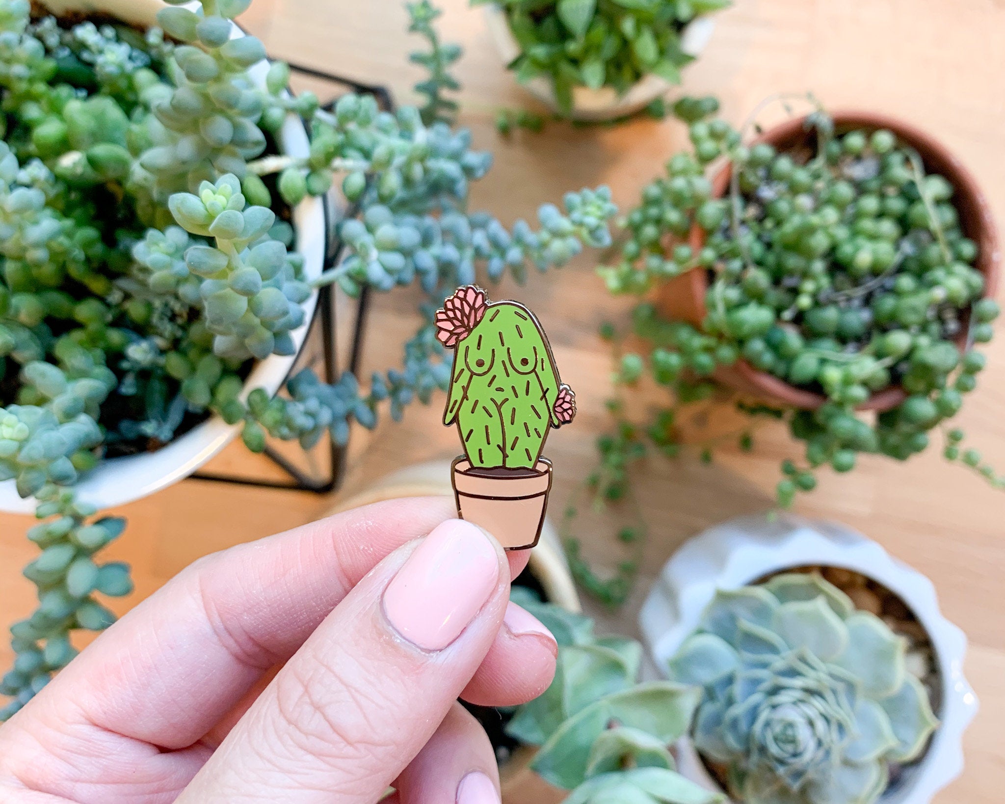 succulent lapel pin Cactus Girl Enamel Pin 2 Pins