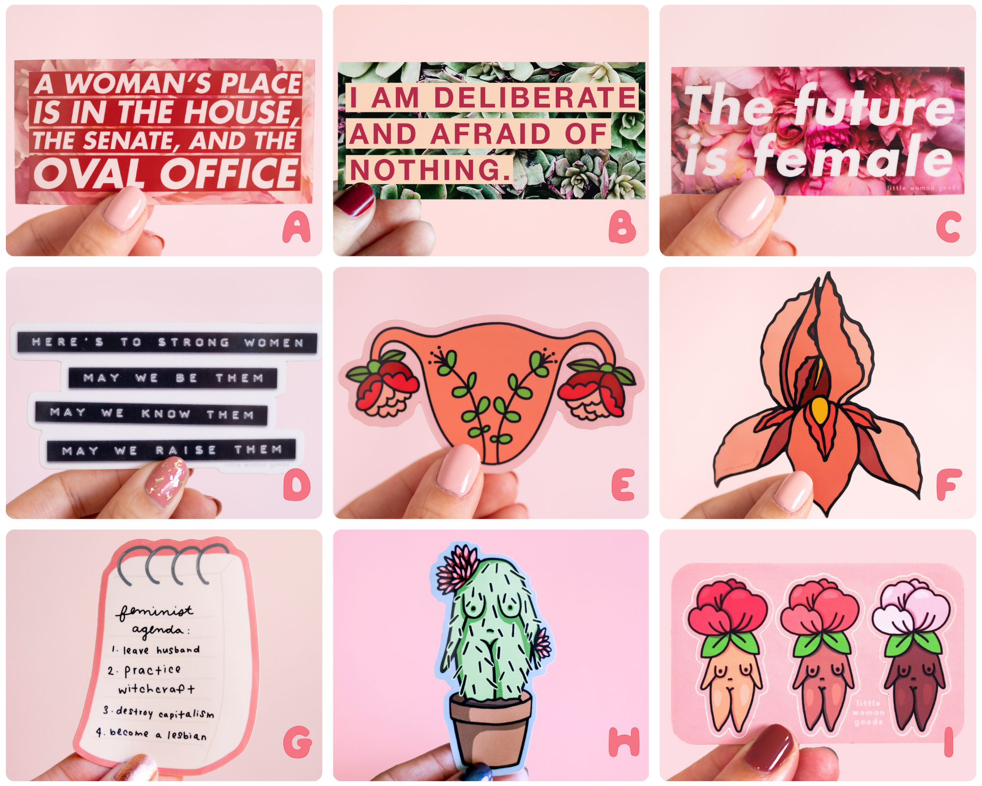 Feminist Vinyl Sticker Set