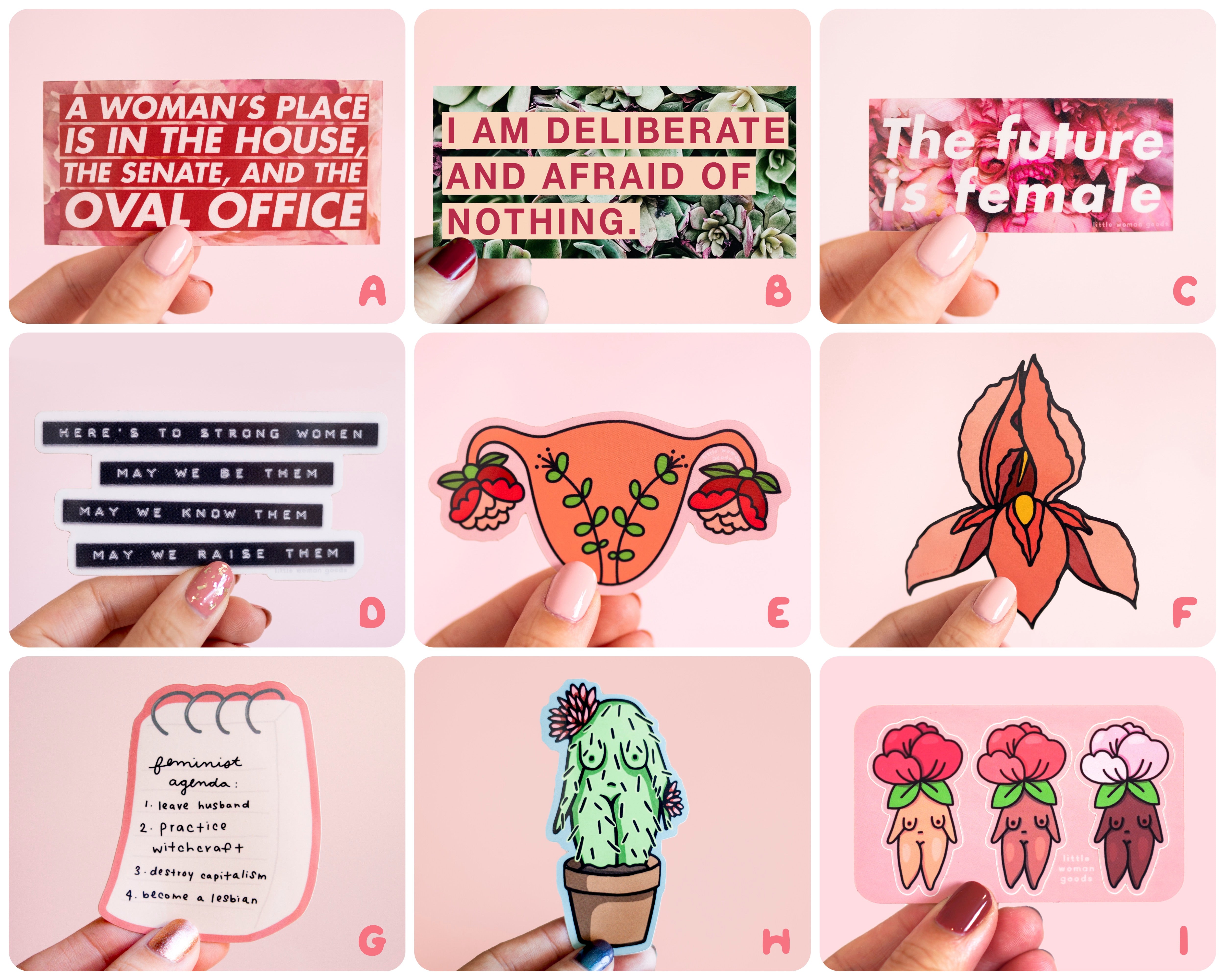 Feminist Vinyl Sticker Set – Little Woman Goods