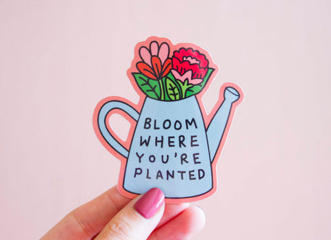 Bloom Vinyl Sticker- Bloom Where You're Planted Motivational Sticker Inspirational Self Affirming Laptop Sticker Floral Feminist Gift